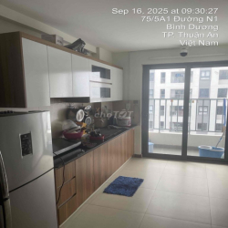 Cho thuê căn 2pn2wc Full nội thất tại Vsip1