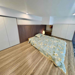 Căn Hộ Duplex Ngay Luỹ Bán Bích - Thoại Ngọc Hầu Full Nội Thất Gần VHU