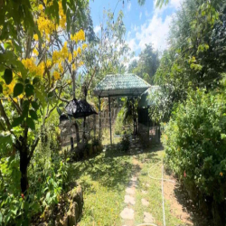 CHO THUÊ KHU SÂN VƯỜN NGHỈ DƯỠNG BIỆT LẬP