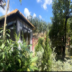 CHO THUÊ KHU SÂN VƯỜN NGHỈ DƯỠNG BIỆT LẬP