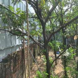 cho thuê đất lâu dài làm kho