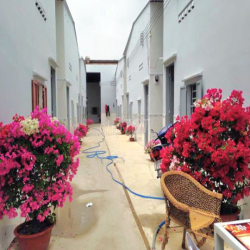 Phòng đẹp 2.6tr – trệt + gác cao – không phí DV,  xe  – vào ở ngay