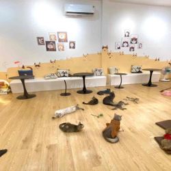 cần sang lại mb ngay lô góc