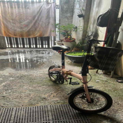 nhà nguyên căn 8tr