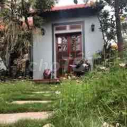 chi thuê nhà và sân vườn