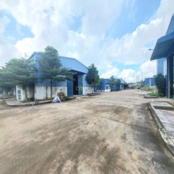 Cho thuê xưởng 800m và 1200m2.Cụm côg nghiệp long thành,Gần Cty Vê Đan