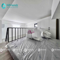 Khai Trương DupLex - Cao Rộng Thoáng, Ở Được 3,4 Người Thoải Mái