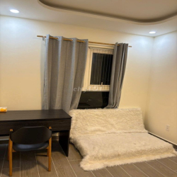 Cho thuê căn góc view Quận 1, full nội thất cao cấp