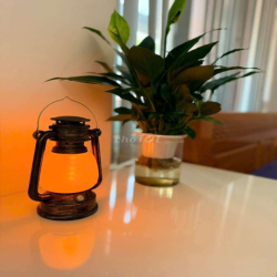 Phòng VIP TẦNG 1. MT LÊ VĂN VIỆT