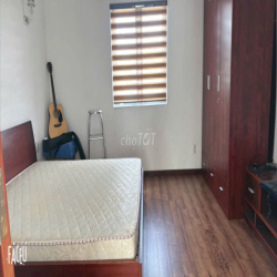 Cho Thuê KHU NỘI BỘ VIP GÒ DẦU : DT 4,5 x 15 M Đúc 3,5 Tấm 4PN, 5 Wc