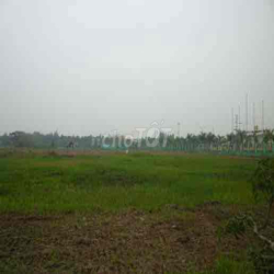 Cho Thuê Đất mặt tiền đường Lê Ngung quận Bình Tân