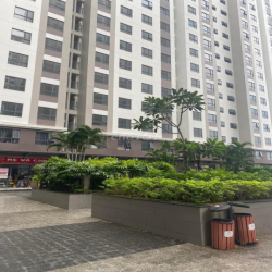 Cho Thuê căn hộ chung cư Green river Mặt tiền đường Phạm Thế Hiên Q8