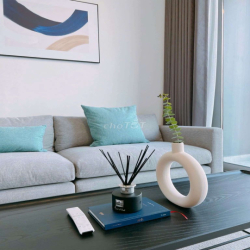 Chính chủ gửi cho thuê nhanh căn hộ 1pn full nt dự án emprire city.