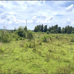 CHO THUÊ ĐẤT VÀNG-CỰC HIẾM 2,5 HA – 2 MẶT TIỀN – NGAY NGÃ BA LONG SƠN