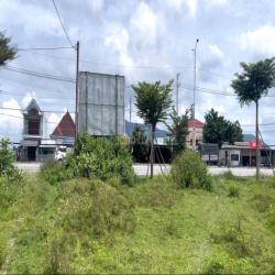 CHO THUÊ ĐẤT VÀNG-CỰC HIẾM 2,5 HA – 2 MẶT TIỀN – NGAY NGÃ BA LONG SƠN