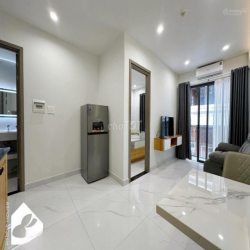 Cho thuê chung cư mini, đường Trần Hưng Đạo, 45m2, Quận 5, HCM