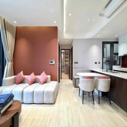 Cho thuê Căn hộ 2PN, 3PN The Infiniti Q7, dự án mới, 10' đến Q1