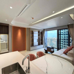 Cho thuê Căn hộ 2PN, 3PN The Infiniti Q7, dự án mới, 10' đến Q1