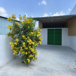 Nhà nguyên căn 150m2 Mới xây - Ốp gỗ Full - La phông cao cấp