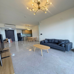 Mình cần cho thuê căn hộ 2PN chung cư Celesta Rise - Ng Hữu Thọ