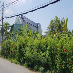 Cho thuê đất chính chủ xã Long Hòa Cần Giờ