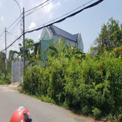 Cho thuê đất chính chủ xã Long Hòa Cần Giờ
