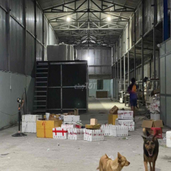 Kho xưởng 700m An Phú Đông