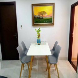 Cần Cho thuê căn hộ Remax Plaza Q.6,  Dt : 85 m2, 2PN, 12 tr/th,