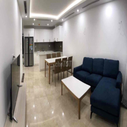 chính chủ cho thuê căn hộ cao cấp Dleroi Slei