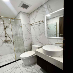 ✅Còn 1 căn mới 100% cho thuê SUNSHINE SKY CITY Q7 2PN 2WC NT cơ bản
