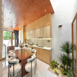 Nhà đẹp kiệt Trần Đình Tri 3PN mới xinh