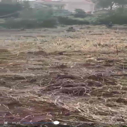 cho thuê đất Quốc Lộ 50 phong phú Bình Chánh 8.000m giá rẻ