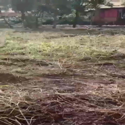 cho thuê đất Quốc Lộ 50 phong phú Bình Chánh 8.000m giá rẻ