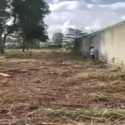 cho thuê đất Quốc Lộ 50 phong phú Bình Chánh 8.000m giá rẻ