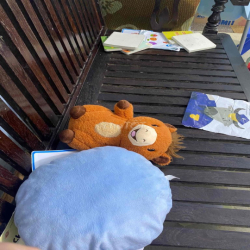 Nhà cho thuê Phường Phú Diễn, Phan Bá Vành