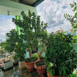 🔥🔥CHO THUÊ NHÀ NC - DT 6X18M - HẺM 2640 HUỲNH TẤN PHÁT - NHÀ BÈ