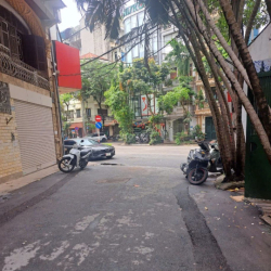 Cho Thuê Nhà Nguyên Căn Ngõ 25 Đặng Thùy Trâm, làm VP, Spa, Kinh doanh