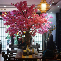 CHO THUÊ NHÀ 1 MÊ MẶT TIỀN TRẦN KHÁNH DƯ - 8x17M - GIÁ 16 TRIỆU