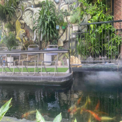 Cho thuê quán cà phê đang kinh doanh