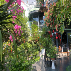 Cho thuê quán cà phê đang kinh doanh