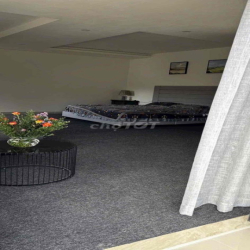 CHO THUÊ VILLA NGHỈ DƯỠNG – P11, GẦN CHÙA LINH PHƯỚC – ĐÀ LẠT 🌿  ✨ V