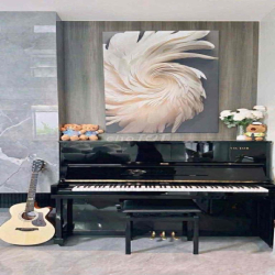 CHO THUÊ VILLA ĐẸP CAO CẤP ĐƯỜNG TRẦN SÂM SƠN TRÀ 7PN