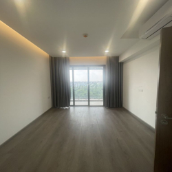 CHO THUÊ CHUNG CƯ DIAMOND ALNATA,BRILLIANT,RUBY EMERALD QUẬN TÂN PHÚ