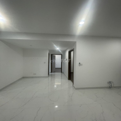 CHO THUÊ CHUNG CƯ DIAMOND ALNATA,BRILLIANT,RUBY EMERALD QUẬN TÂN PHÚ