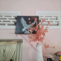 NHÀ CHO THUÊ GIÁ RẺ.