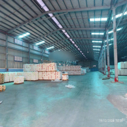 Kho xưởng 18.000m2 Bến Lức có PCCC tự động giá 850tr