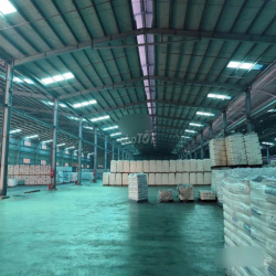 Kho xưởng 18.000m2 Bến Lức có PCCC tự động giá 850tr