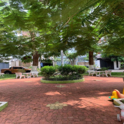 NHÀ THẬT GIÁ THẬT CHO THUÊ KHU VIILA NỘI BỘ TÂN SƠN NHÌ