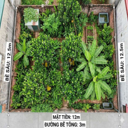 CHO THUÊ ĐẤT LÀM NHÀ KÍNH, VƯỜN ƯƠM, DỰ ÁN GIÁO DỤC