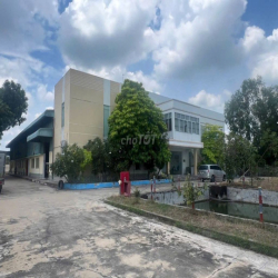 Cho thuê xường đức hòa thượng Long An
